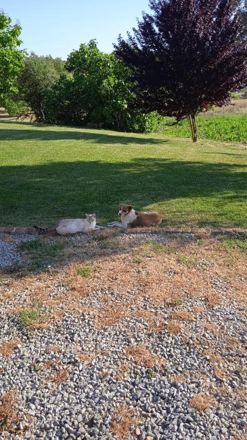 Casa Rural Camino Del Alentejo Villa La Codosera Eksteriør bilde