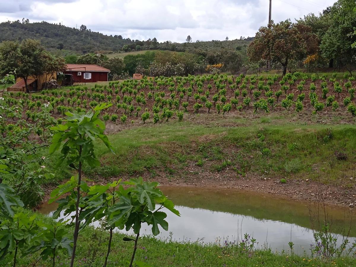Casa Rural Camino Del Alentejo Villa La Codosera Eksteriør bilde