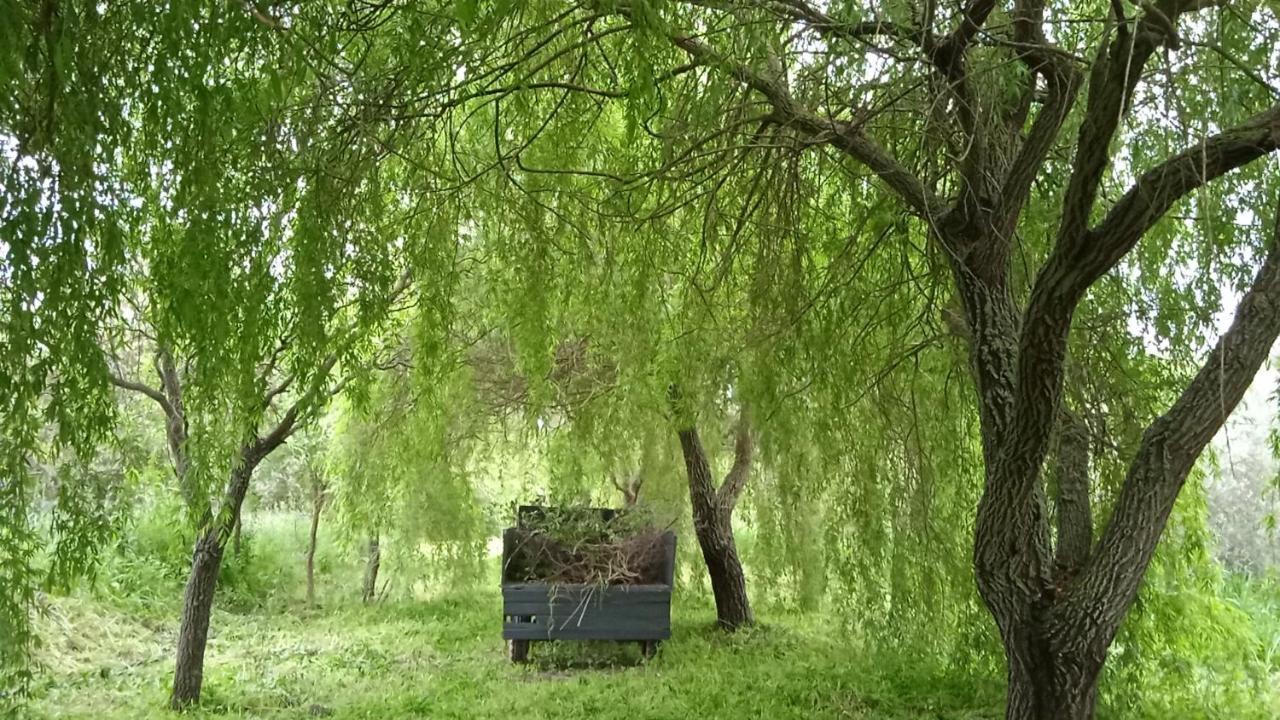 Casa Rural Camino Del Alentejo Villa La Codosera Eksteriør bilde