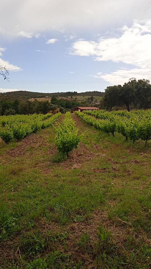 Casa Rural Camino Del Alentejo Villa La Codosera Eksteriør bilde