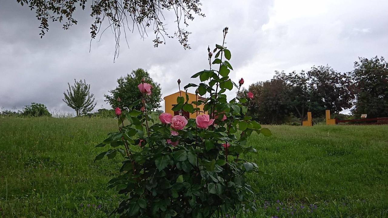 Casa Rural Camino Del Alentejo Villa La Codosera Eksteriør bilde