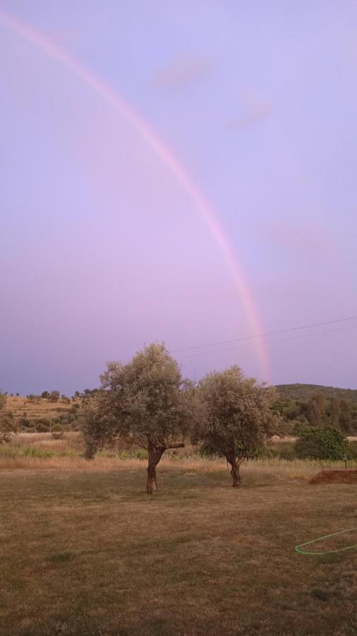 Casa Rural Camino Del Alentejo Villa La Codosera Eksteriør bilde