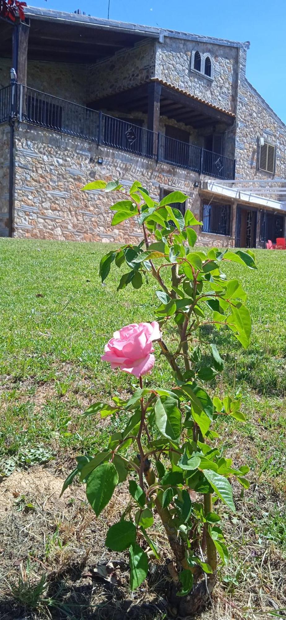 Casa Rural Camino Del Alentejo Villa La Codosera Eksteriør bilde